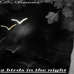 Michael D'Amour : 2 Birds in the Night